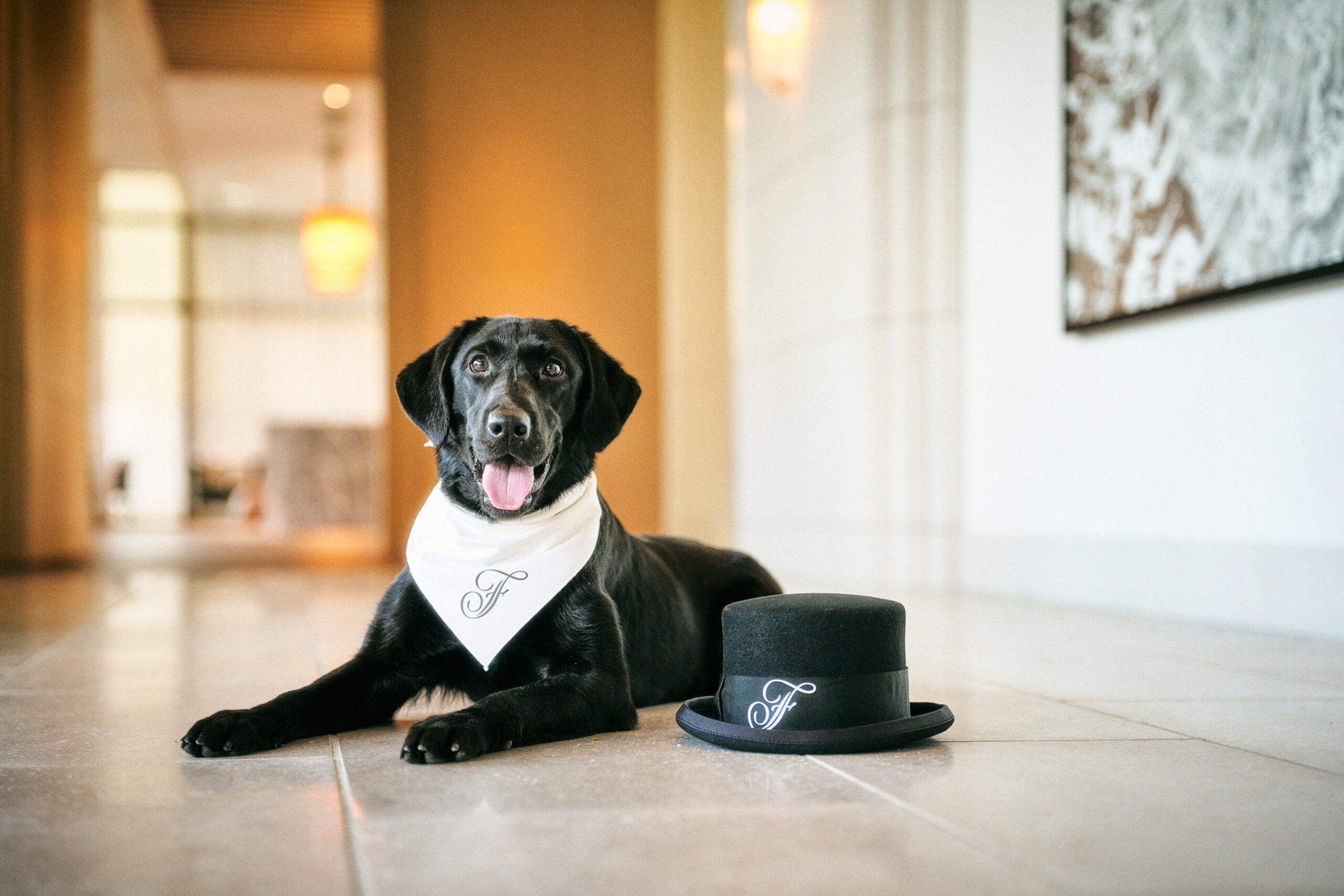 Fairmont Tokyo - Chief Happiness Officer - Serene