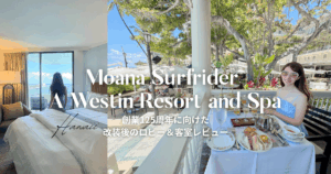 モアナサーフライダーサムネイル