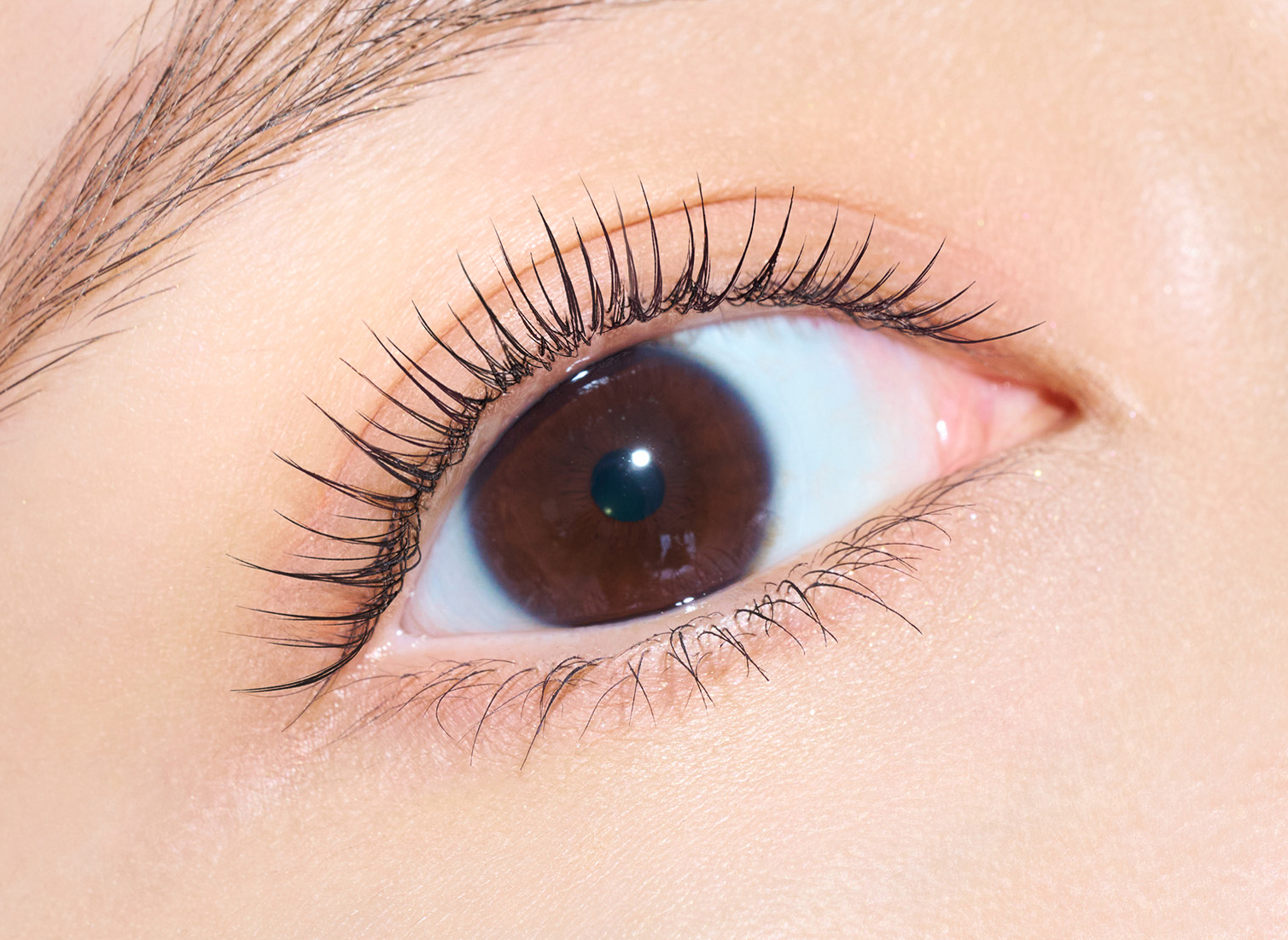 デジャヴュ フォルミングラッシュ