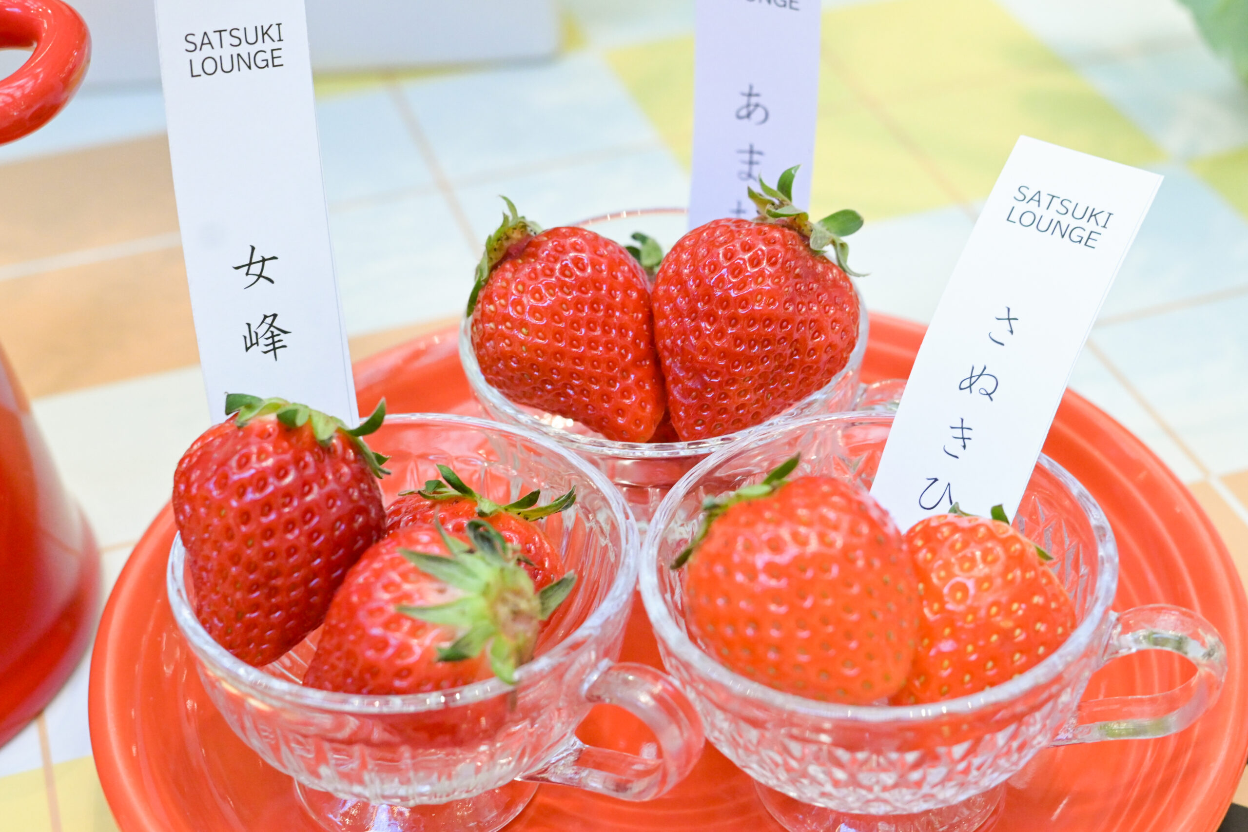 ホテルニューオータニ大阪 さつきラウンジ いちごビュッフェ ジュエリーテーマ オプション「ブランドいちご食べ比べレポート」