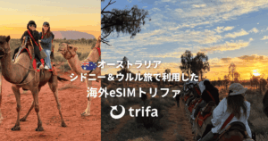 trifa アイキャッチ画像