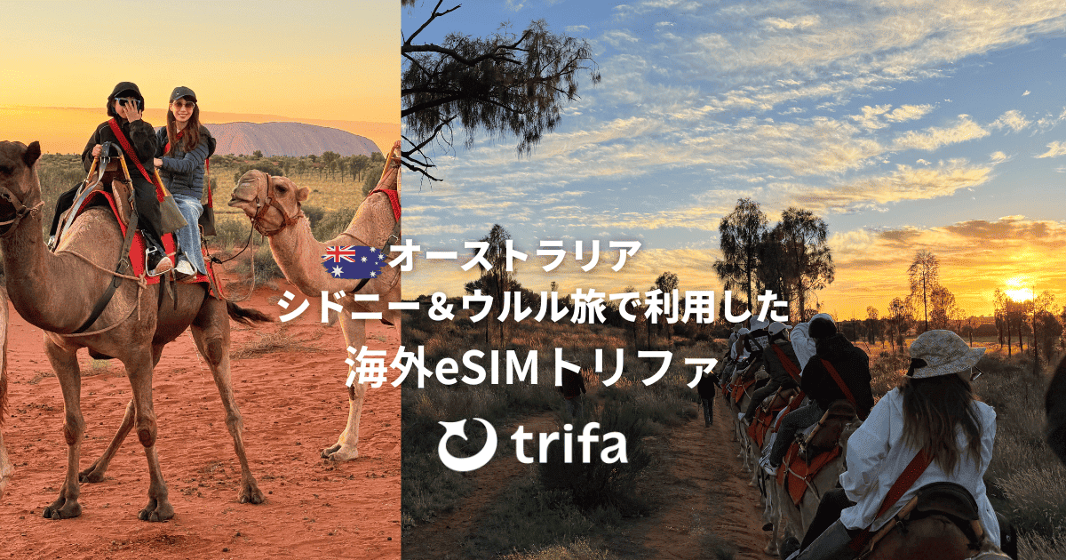 trifa アイキャッチ画像