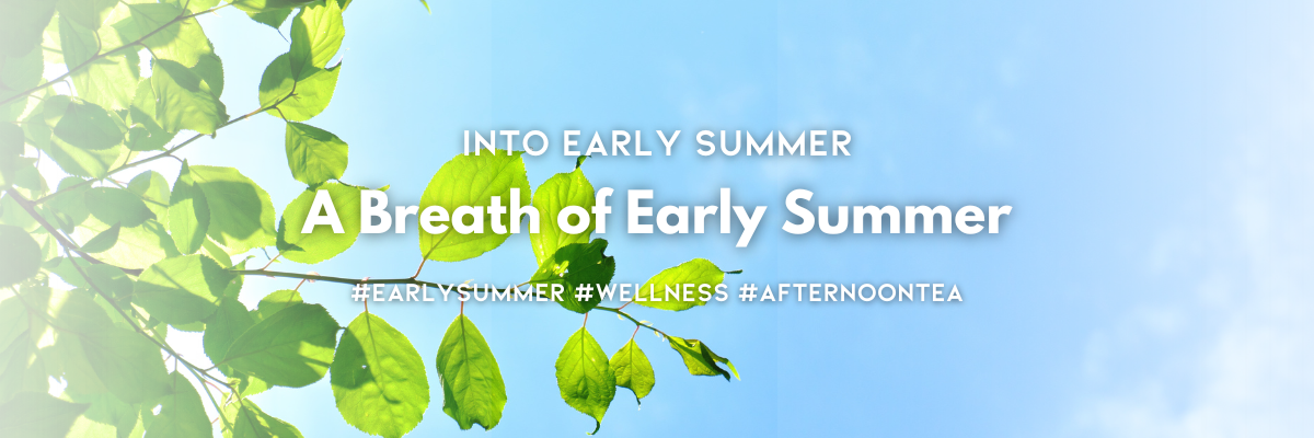Early Summer バナー