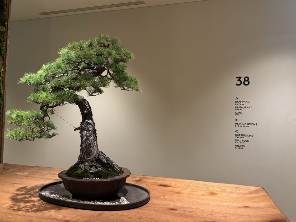 1 Hotel Tokyo 盆栽 ロビー