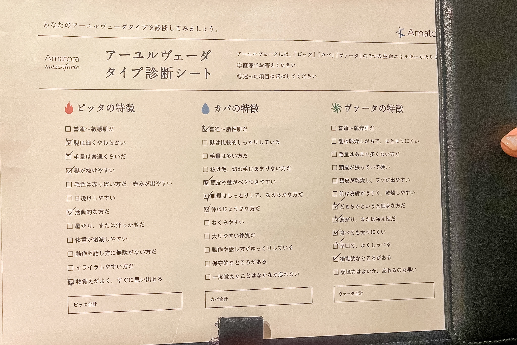 アマトラスパ アーユルヴェーダタイプ診断シート